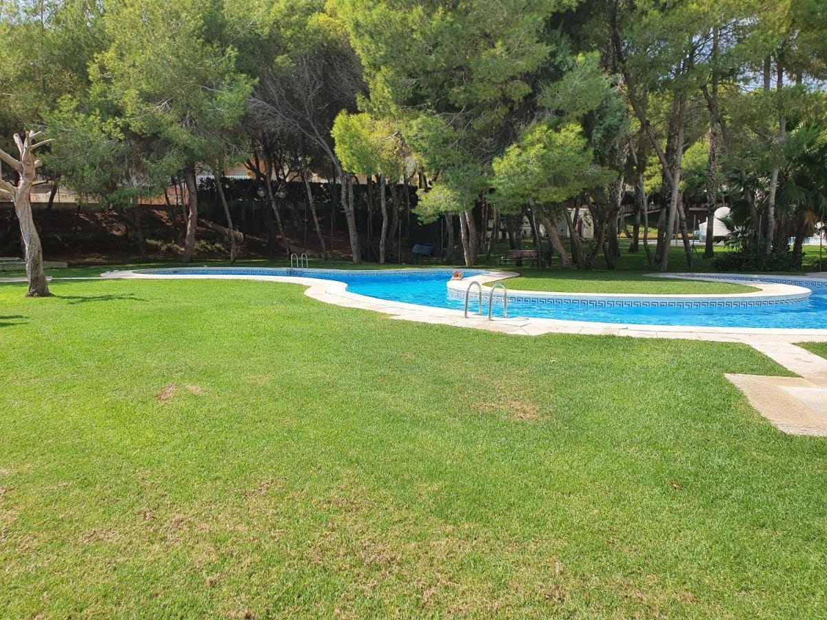 Apartment In Campoamor Overlooking The Swimming Pool Εξωτερικό φωτογραφία
