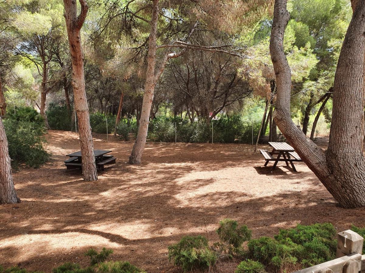Apartment In Campoamor Overlooking The Swimming Pool Εξωτερικό φωτογραφία