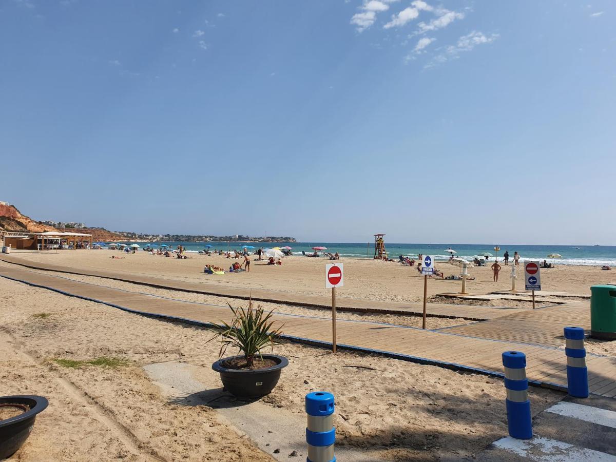 Apartment In Campoamor Overlooking The Swimming Pool Εξωτερικό φωτογραφία